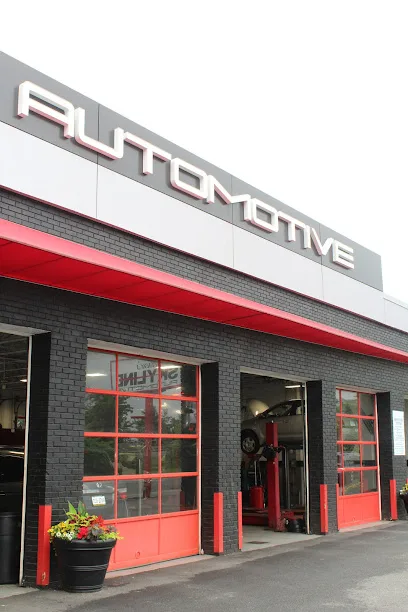 Ben Nielsen's Skyline Automotive storefront