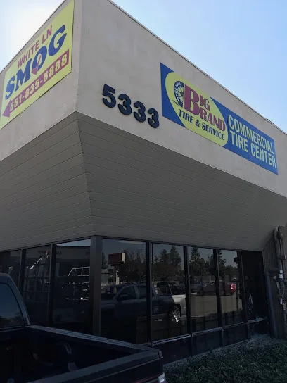 White Ln Smog Check ARD 268024(License) storefront